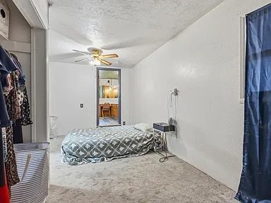 Bedroom — carpet, ceiling fan